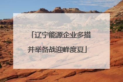 辽宁能源企业多措并举备战迎峰度夏