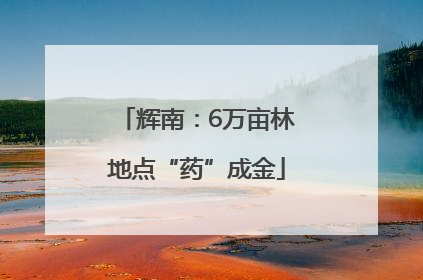 辉南：6万亩林地点“药”成金