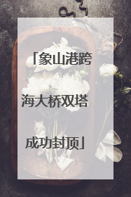 象山港跨海大桥双塔成功封顶