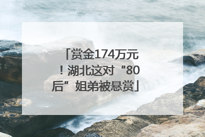 赏金174万元！湖北这对“80后”姐弟被悬赏