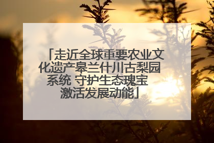 走近全球重要农业文化遗产皋兰什川古梨园系统 守护生态瑰宝 激活发展动能