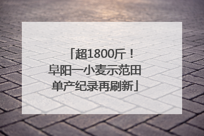 超1800斤！阜阳一小麦示范田单产纪录再刷新