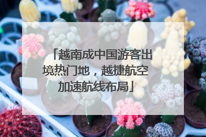 越南成中国游客出境热门地，越捷航空加速航线布局