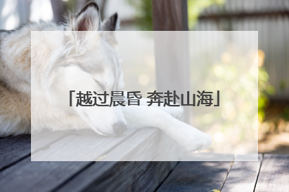 越过晨昏 奔赴山海