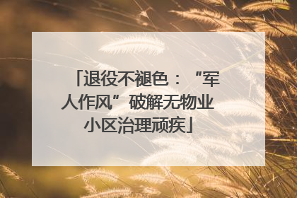 退役不褪色：“军人作风”破解无物业小区治理顽疾