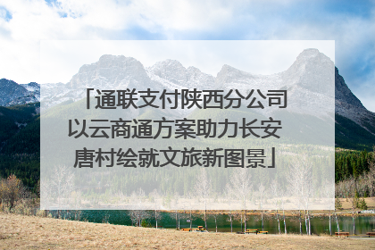 通联支付陕西分公司以云商通方案助力长安唐村绘就文旅新图景