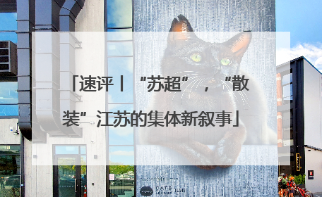 速评丨“苏超”，“散装”江苏的集体新叙事