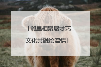 邻里相聚展才艺 文化共融绘温情