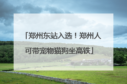 郑州东站入选！郑州人可带宠物猫狗坐高铁