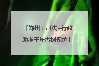 郑州：司法+行政助推千年古树保护