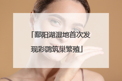 鄱阳湖湿地首次发现彩鹮筑巢繁殖