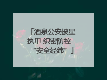 酒泉公安披星执甲 织密防控“安全经纬”