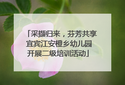 采撷归来，芬芳共享 宜宾江安橙乡幼儿园开展二级培训活动