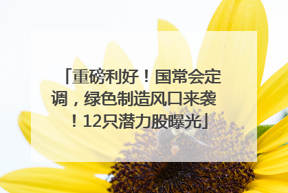 重磅利好！国常会定调，绿色制造风口来袭！12只潜力股曝光