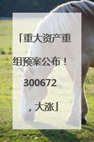 重大资产重组预案公布！300672，大涨