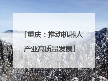 重庆：推动机器人产业高质量发展
