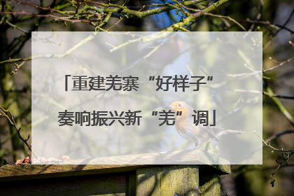 重建羌寨“好样子” 奏响振兴新“羌”调