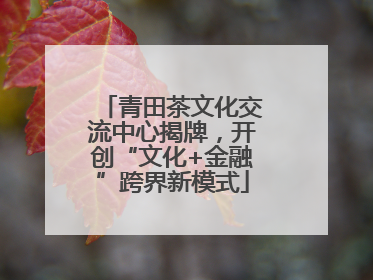 青田茶文化交流中心揭牌，开创“文化+金融”跨界新模式