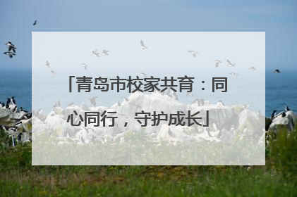 青岛市校家共育：同心同行，守护成长