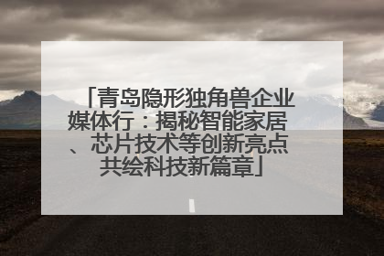 青岛隐形独角兽企业媒体行：揭秘智能家居、芯片技术等创新亮点 共绘科技新篇章