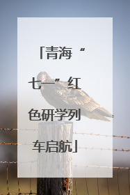 青海“七一”红色研学列车启航