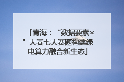 青海：“数据要素×”大赛七大赛题构建绿电算力融合新生态
