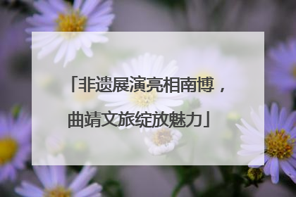 非遗展演亮相南博，曲靖文旅绽放魅力