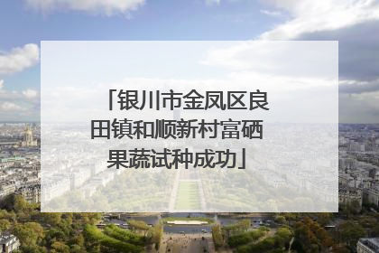 银川市金凤区良田镇和顺新村富硒果蔬试种成功