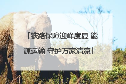 铁路保障迎峰度夏 能源运输 守护万家清凉
