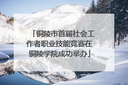 铜陵市首届社会工作者职业技能竞赛在铜陵学院成功举办