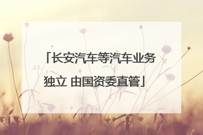 长安汽车等汽车业务独立 由国资委直管