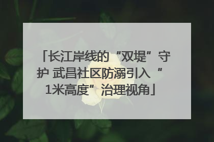 长江岸线的“双堤”守护 武昌社区防溺引入“1米高度”治理视角