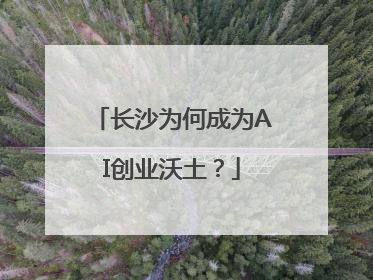 长沙为何成为AI创业沃土？
