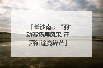 长沙南：“羽”动赛场展风采 汗洒征途竞锋芒