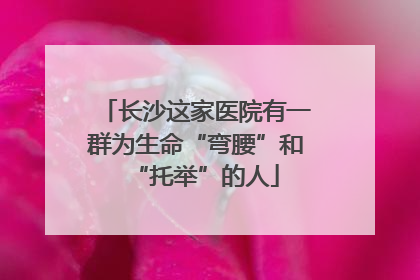 长沙这家医院有一群为生命“弯腰”和“托举”的人