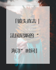 镜头直击|法国尼斯的“海洋”时间