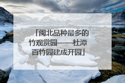 闽北品种最多的竹观赏园——杜潭百竹园建成开园