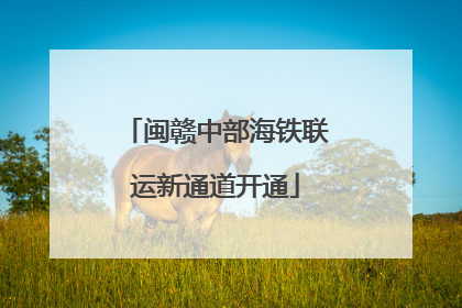 闽赣中部海铁联运新通道开通