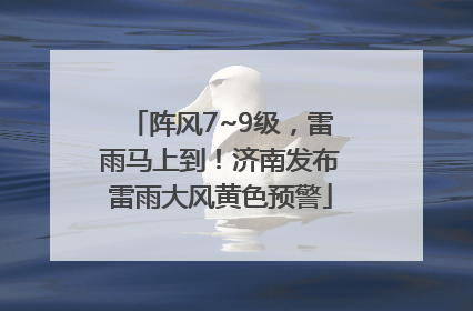 阵风7~9级，雷雨马上到！济南发布雷雨大风黄色预警