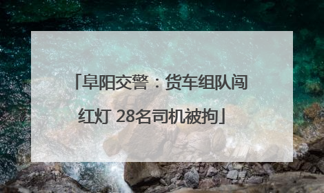 阜阳交警：货车组队闯红灯 28名司机被拘