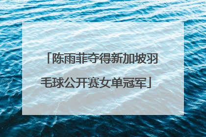 陈雨菲夺得新加坡羽毛球公开赛女单冠军