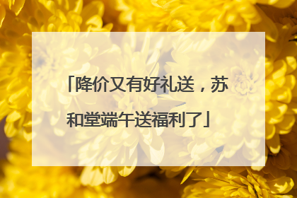 降价又有好礼送，苏和堂端午送福利了