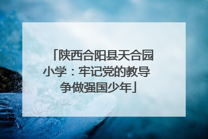 陕西合阳县天合园小学：牢记党的教导 争做强国少年