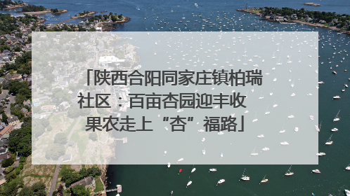 陕西合阳同家庄镇柏瑞社区：百亩杏园迎丰收 果农走上“杏”福路