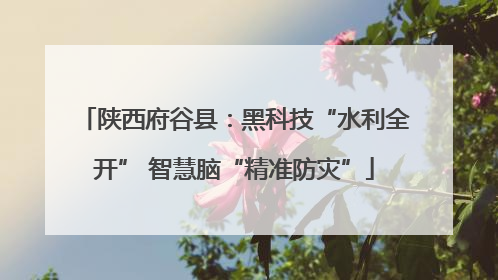 陕西府谷县：黑科技“水利全开” 智慧脑“精准防灾”