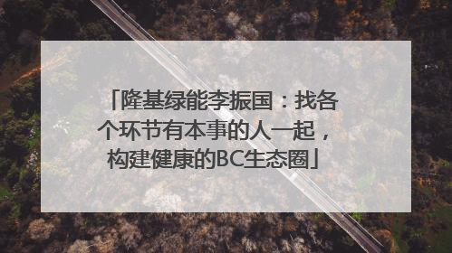 隆基绿能李振国：找各个环节有本事的人一起，构建健康的BC生态圈