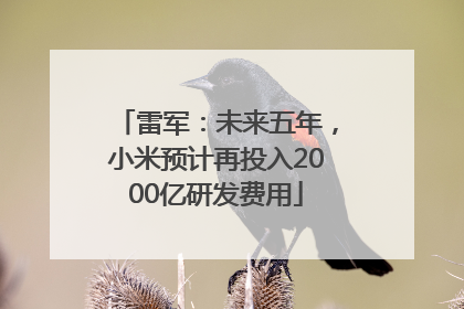 雷军：未来五年，小米预计再投入2000亿研发费用