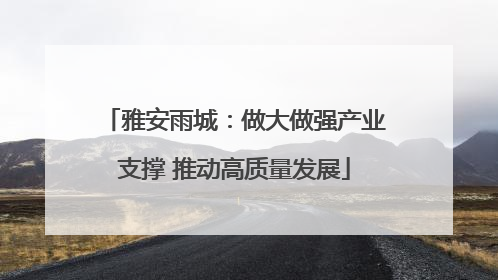 雅安雨城：做大做强产业支撑 推动高质量发展