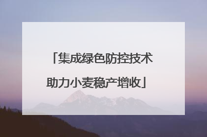 集成绿色防控技术助力小麦稳产增收