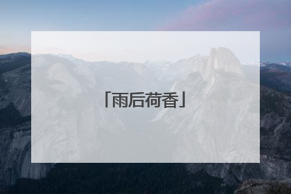 雨后荷香
